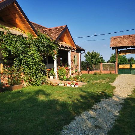 Amanet House Zasavica Daire Dış mekan fotoğraf