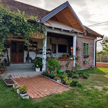 Amanet House Zasavica Daire Dış mekan fotoğraf