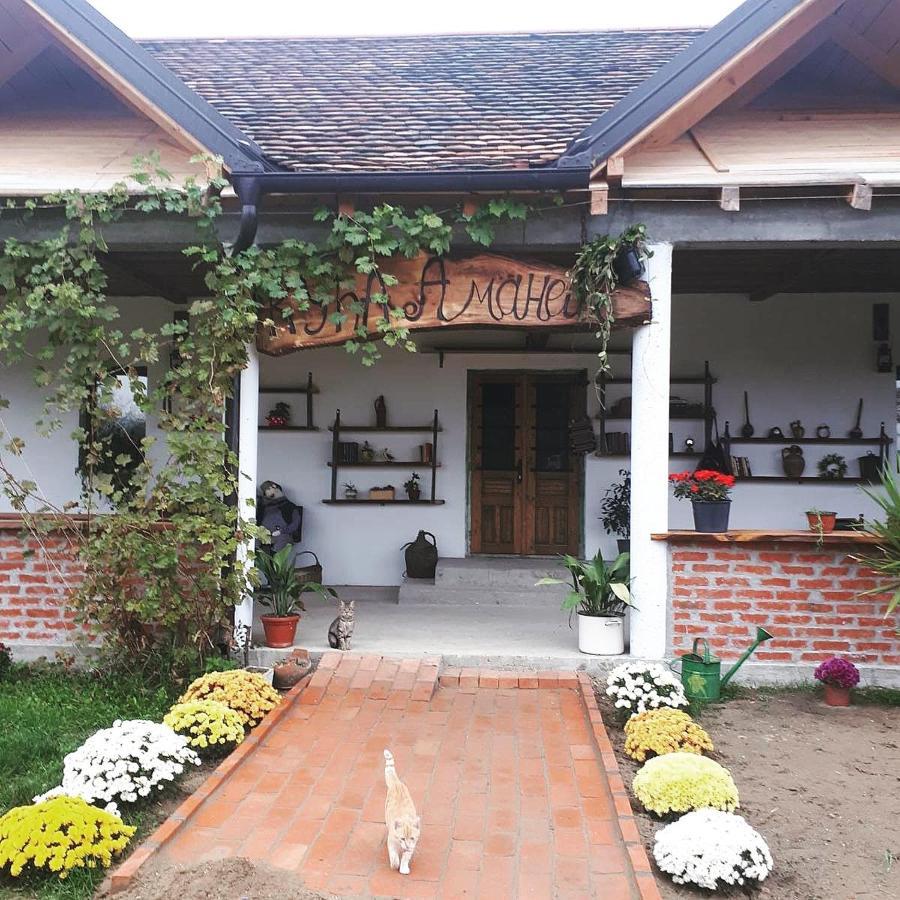 Amanet House Zasavica Daire Dış mekan fotoğraf