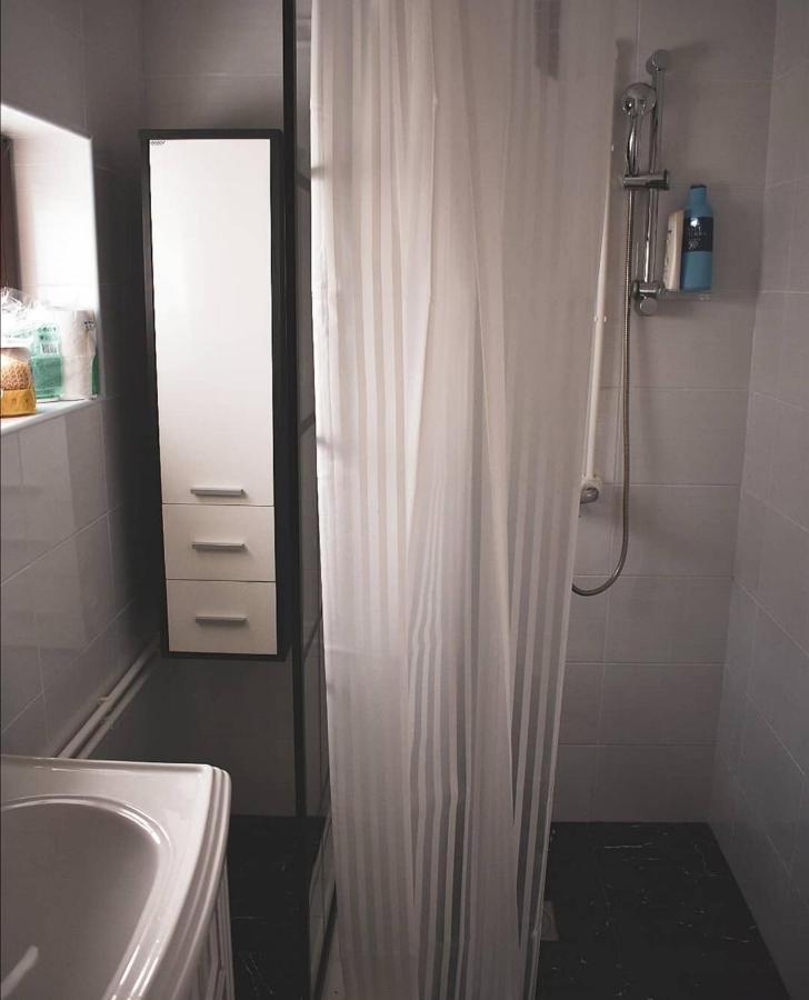 Amanet House Zasavica Daire Dış mekan fotoğraf