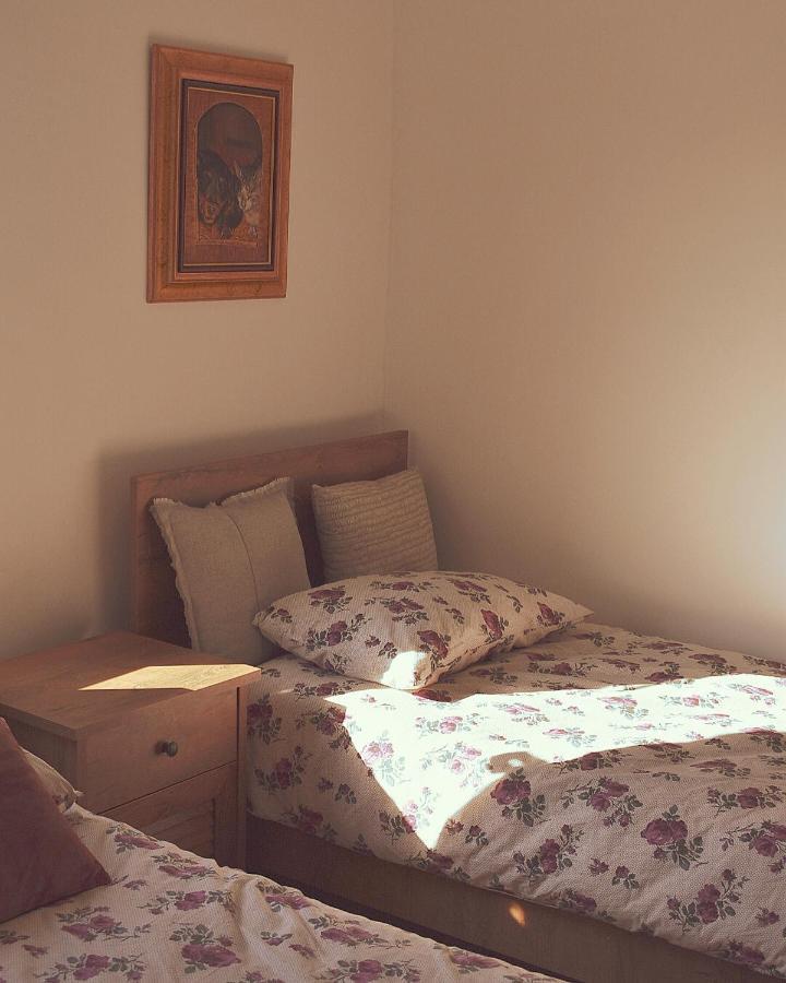 Amanet House Zasavica Daire Dış mekan fotoğraf
