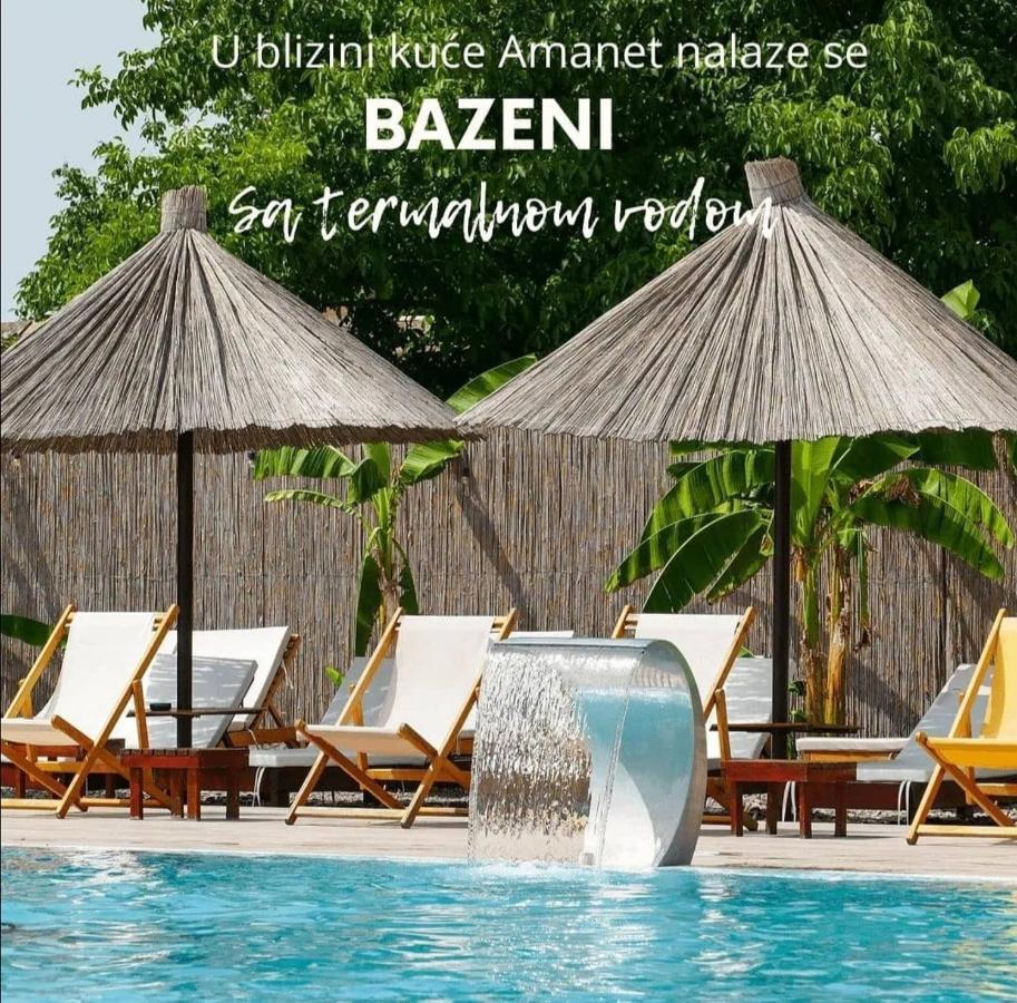 Amanet House Zasavica Daire Dış mekan fotoğraf