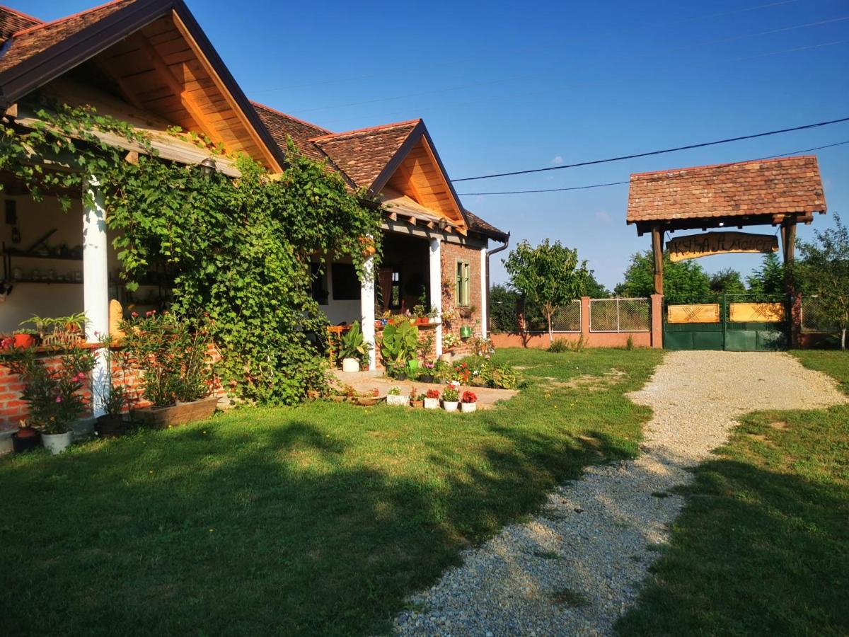 Amanet House Zasavica Daire Dış mekan fotoğraf