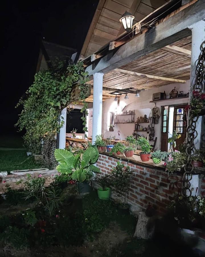 Amanet House Zasavica Daire Dış mekan fotoğraf