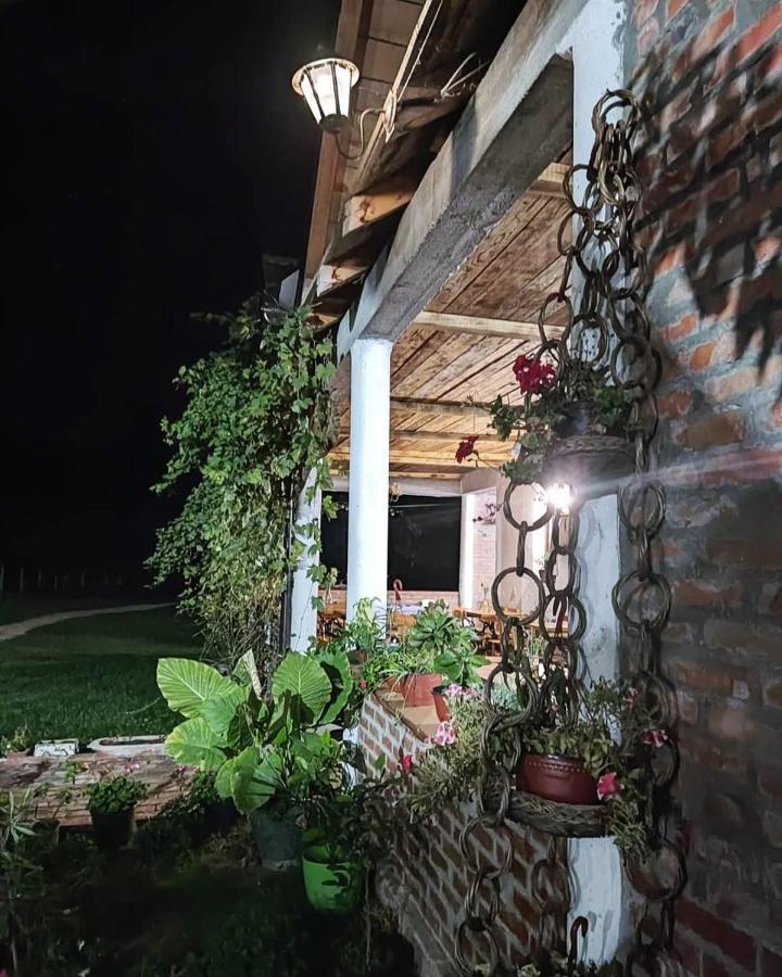 Amanet House Zasavica Daire Dış mekan fotoğraf