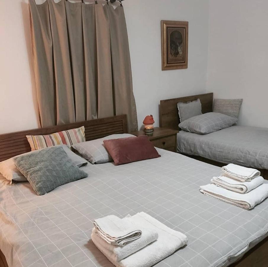 Amanet House Zasavica Daire Dış mekan fotoğraf