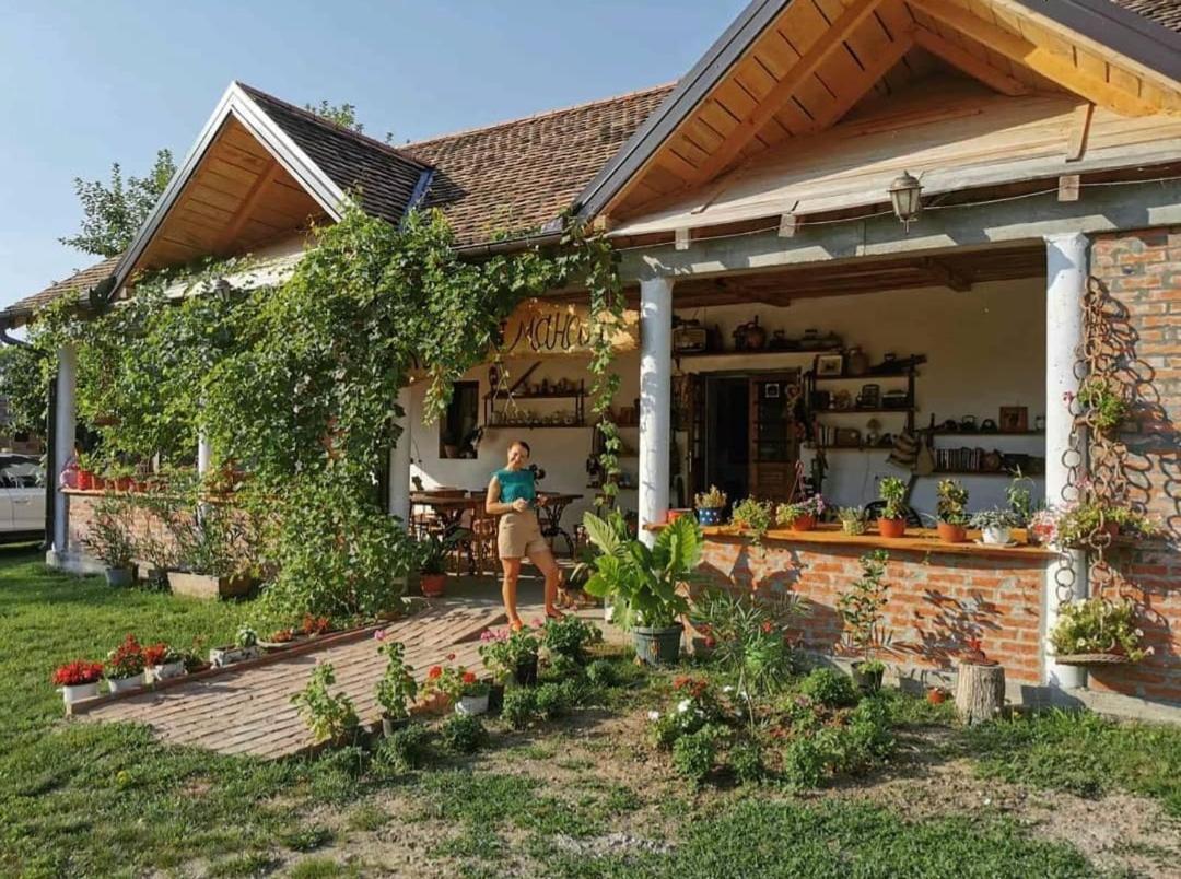 Amanet House Zasavica Daire Dış mekan fotoğraf