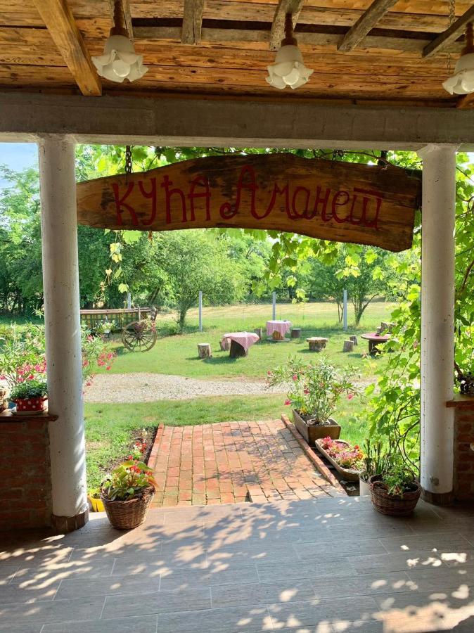 Amanet House Zasavica Daire Dış mekan fotoğraf