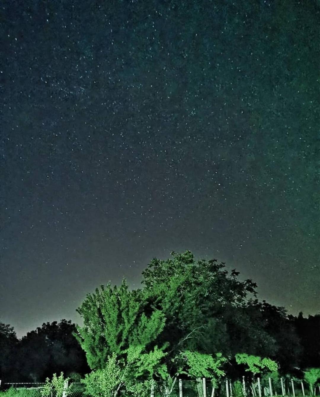 Amanet House Zasavica Daire Dış mekan fotoğraf